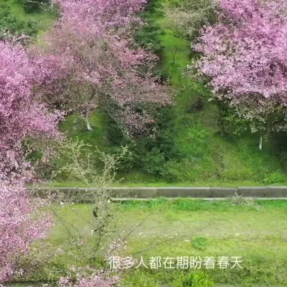 莫干山攻略全攻略 - 10060