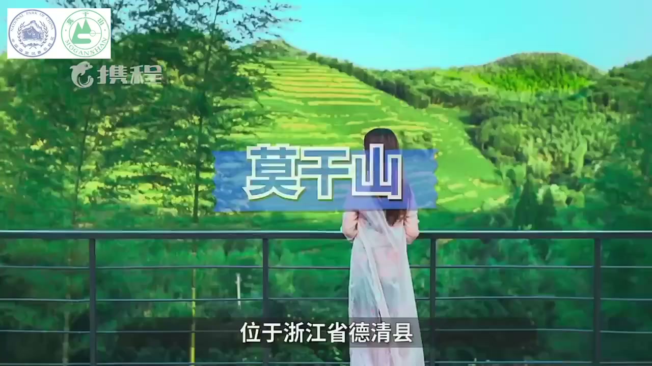 莫干山门票优惠政策 - 10108
