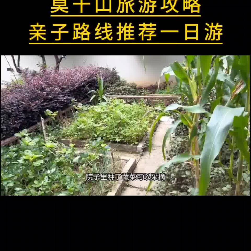 莫干山攻略白云山馆 - 10090
